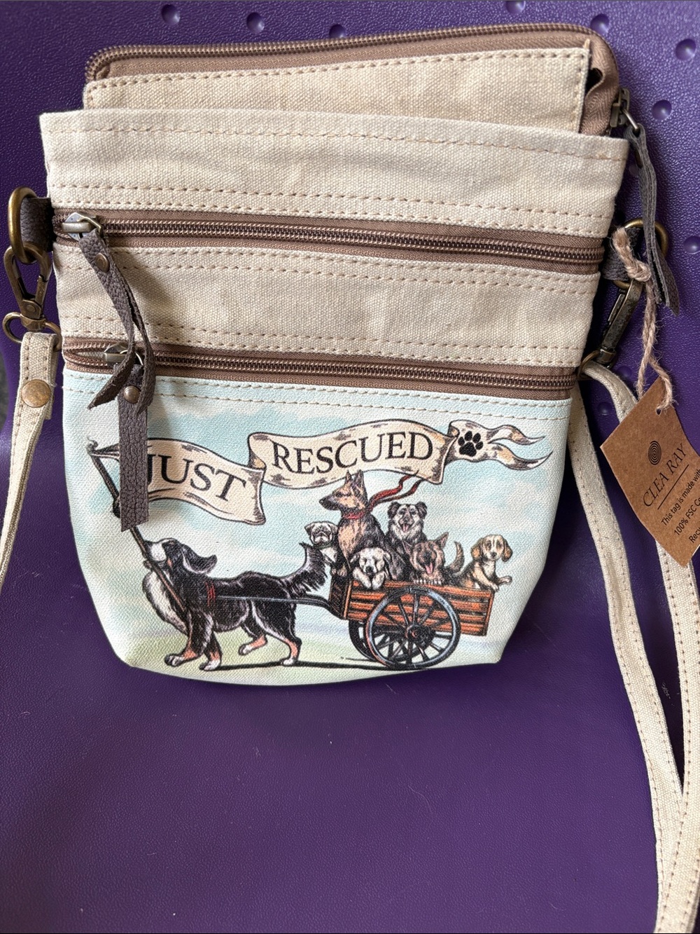 Clea Ray Just Rescued Crossbody Bag